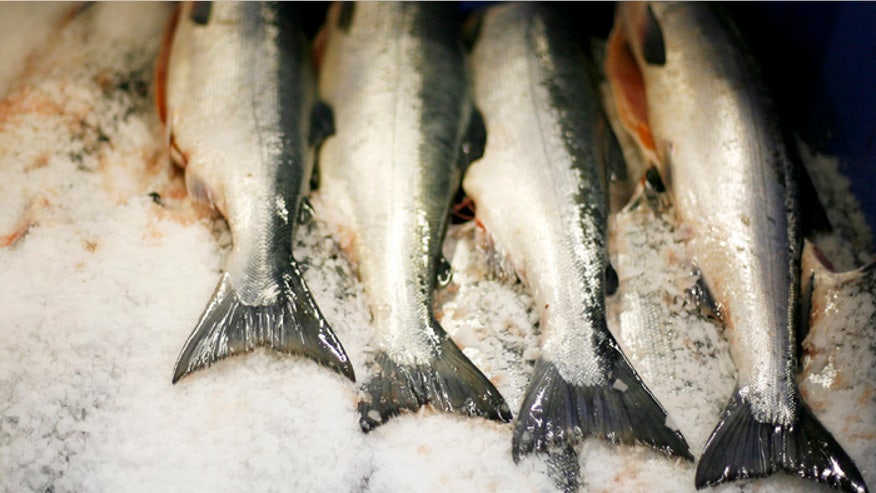 Salmon_Reuters_Mar 1 2013.jpg